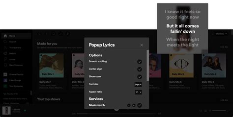 shuffle+ spicetify|Extensions .